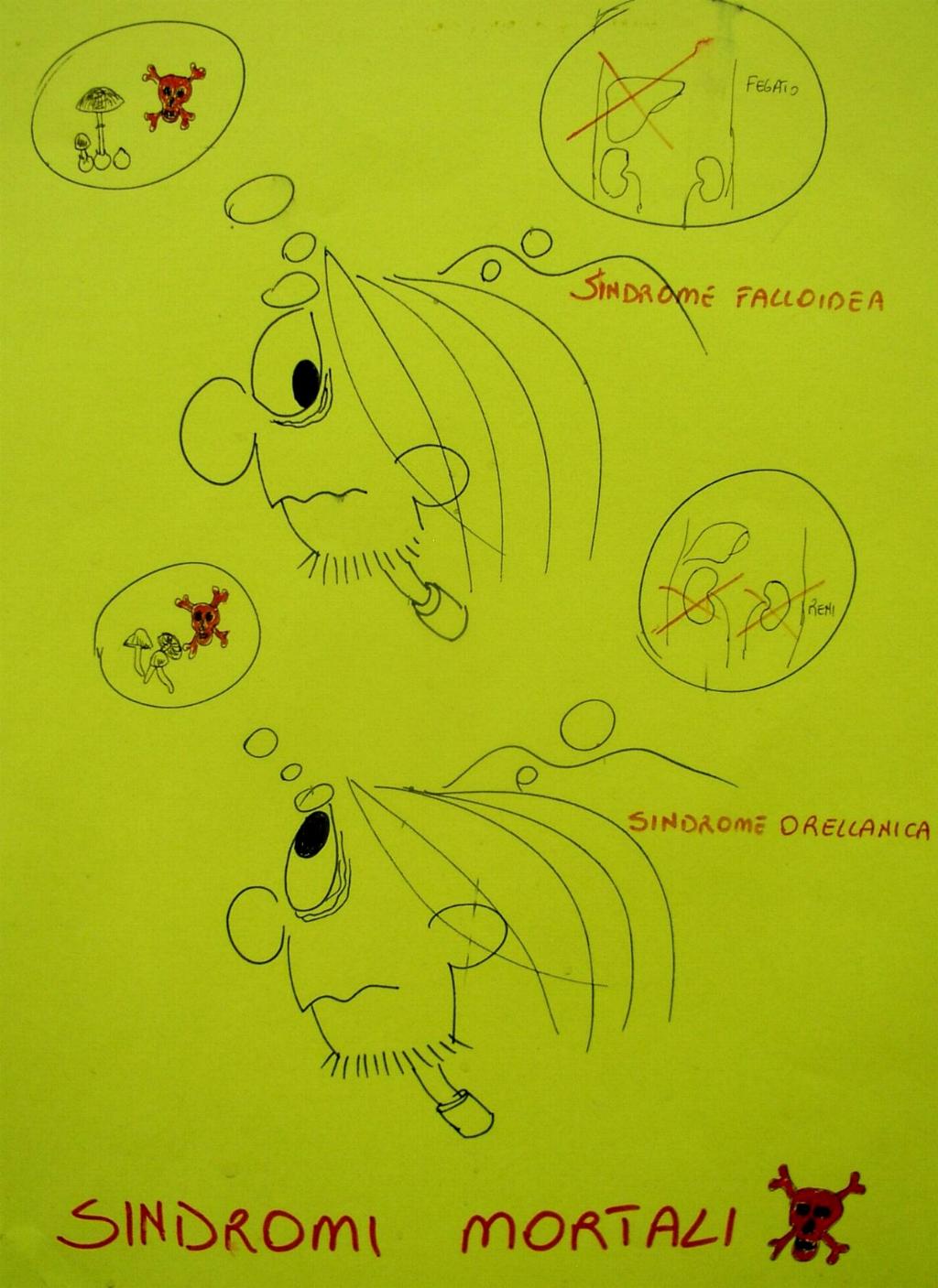 una mostra micologica