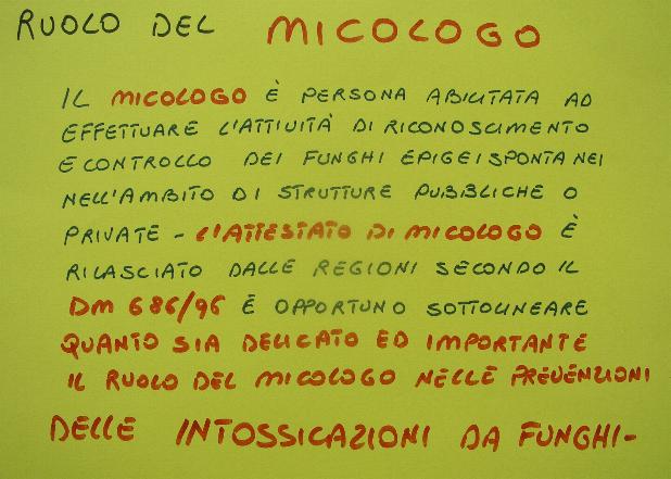 una mostra micologica