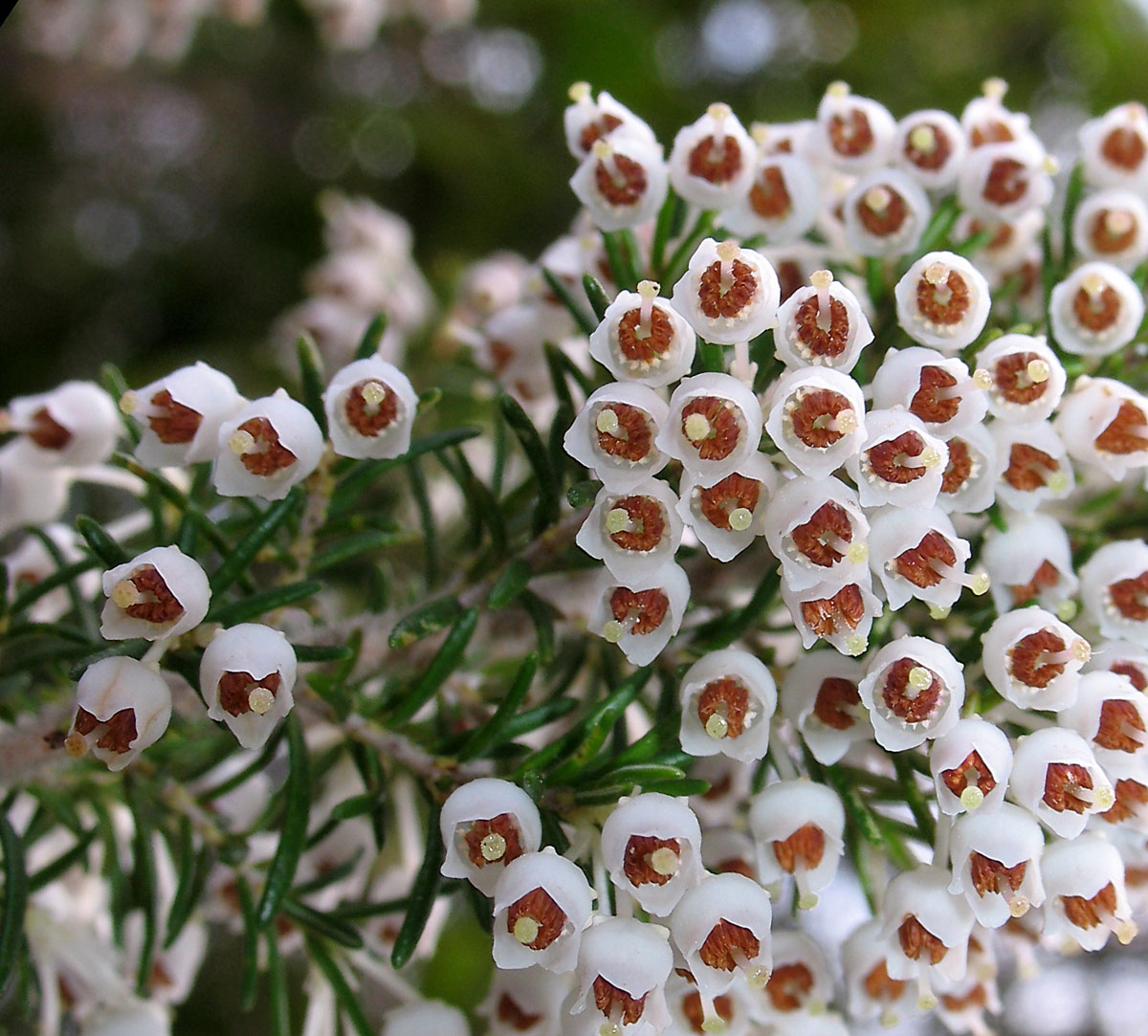 Aria di primavera...