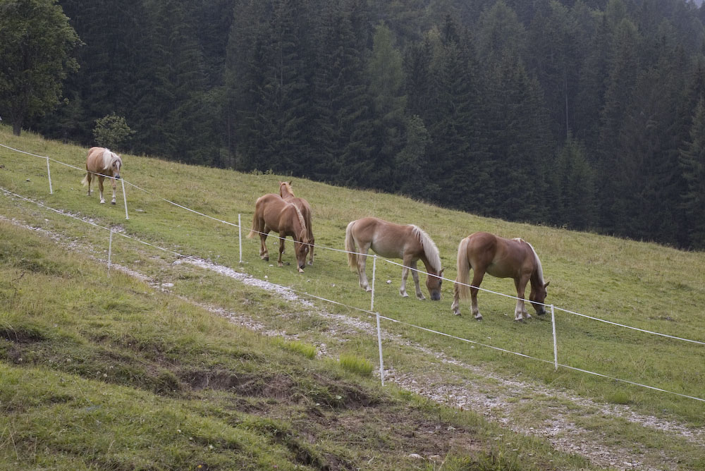 Rifugio Padova