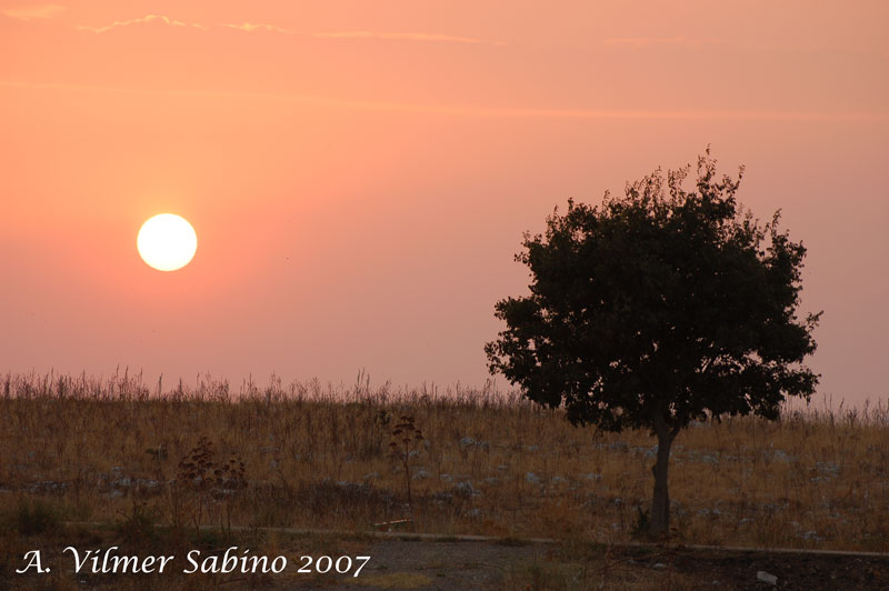 Dall''alba al tramonto