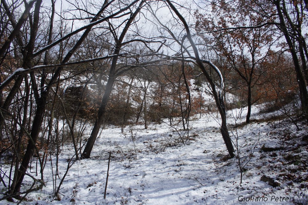 disperso nella bufera di neve