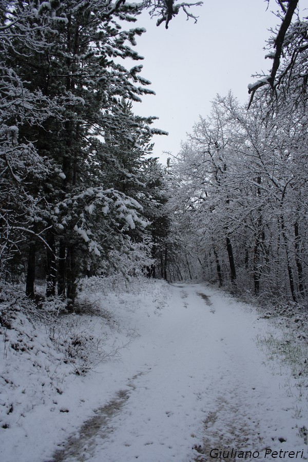 disperso nella bufera di neve