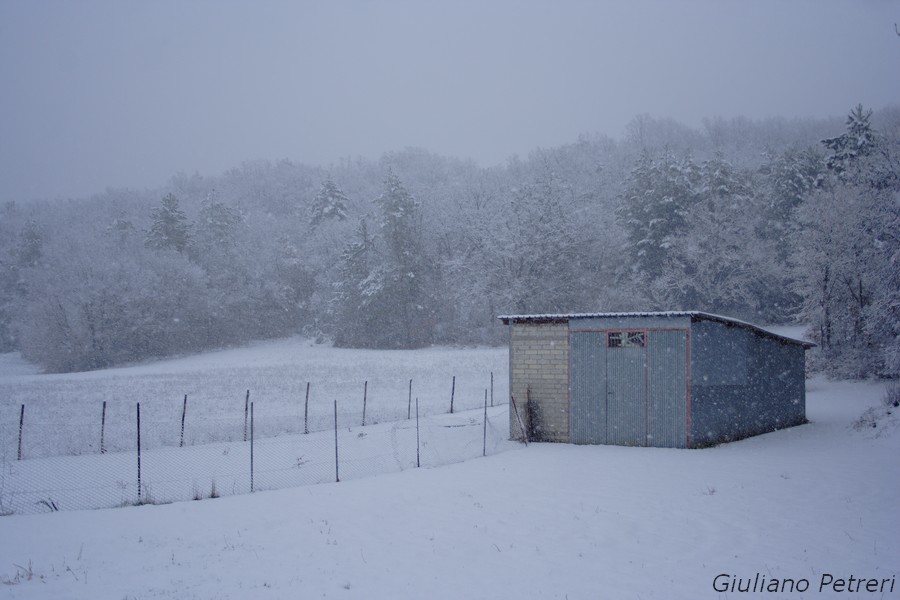 disperso nella bufera di neve