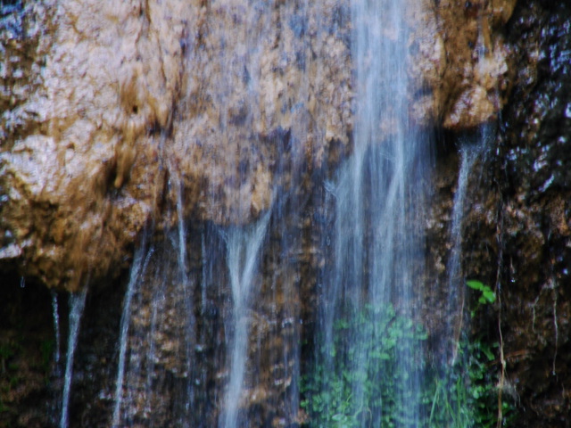 Riserva naturale di  Canale Monterano