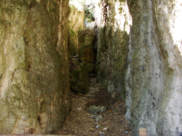 Riserva naturale di  Canale Monterano