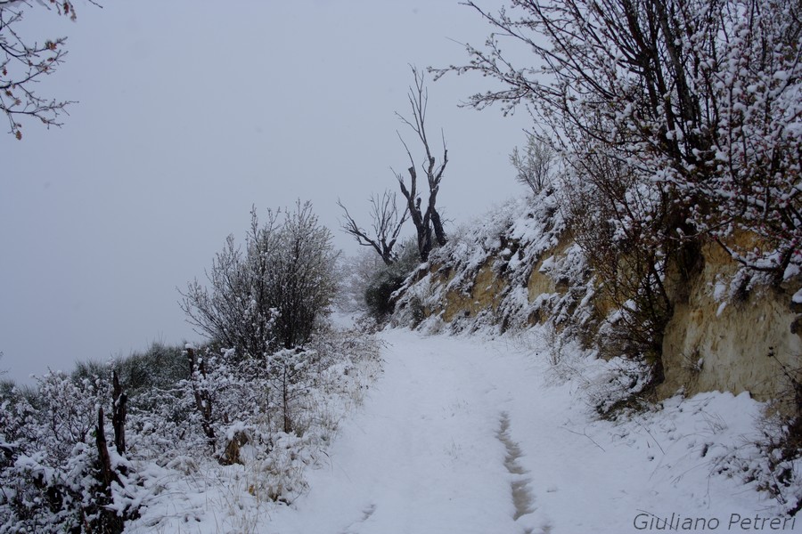 disperso nella bufera di neve