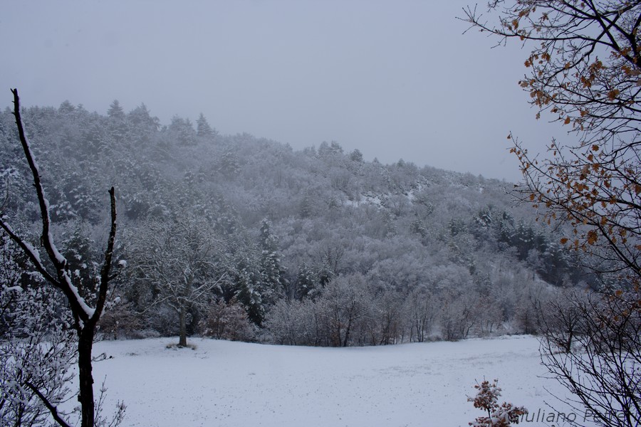 disperso nella bufera di neve