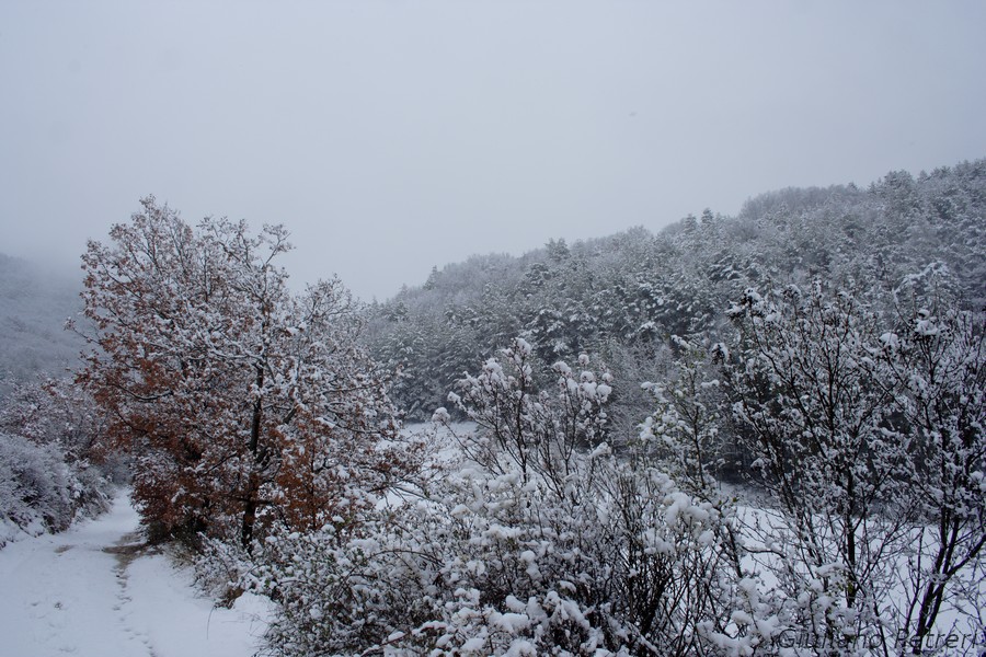 disperso nella bufera di neve