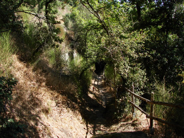 Riserva naturale di  Canale Monterano