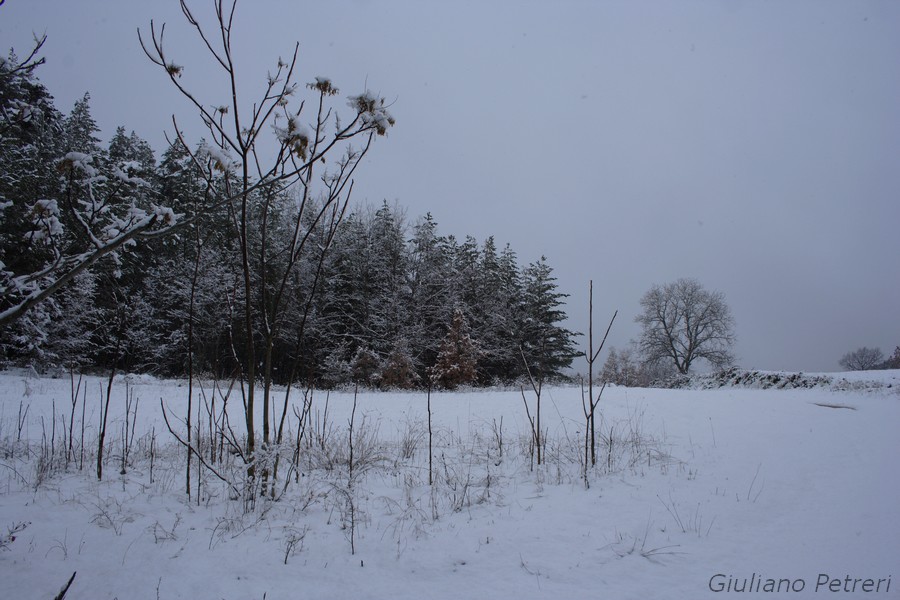 disperso nella bufera di neve