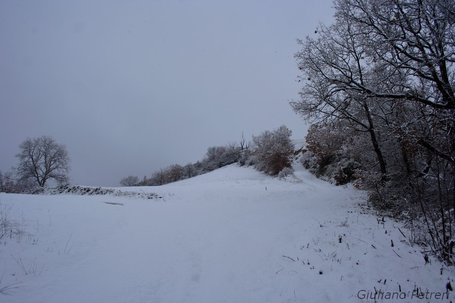 disperso nella bufera di neve