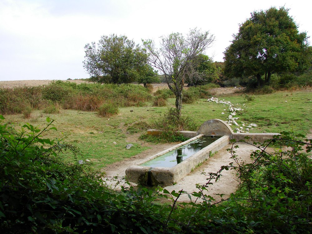 da Castel di Guido a Fregene