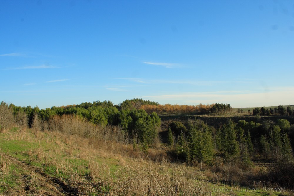 da Castel di Guido a Fregene