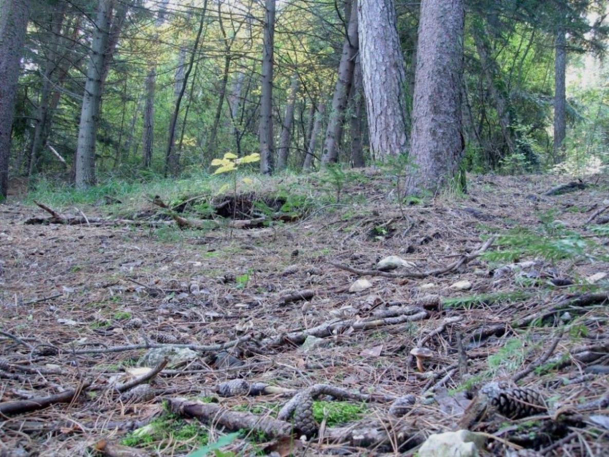 Escursioni fine-ottombrine nell''Aquilano