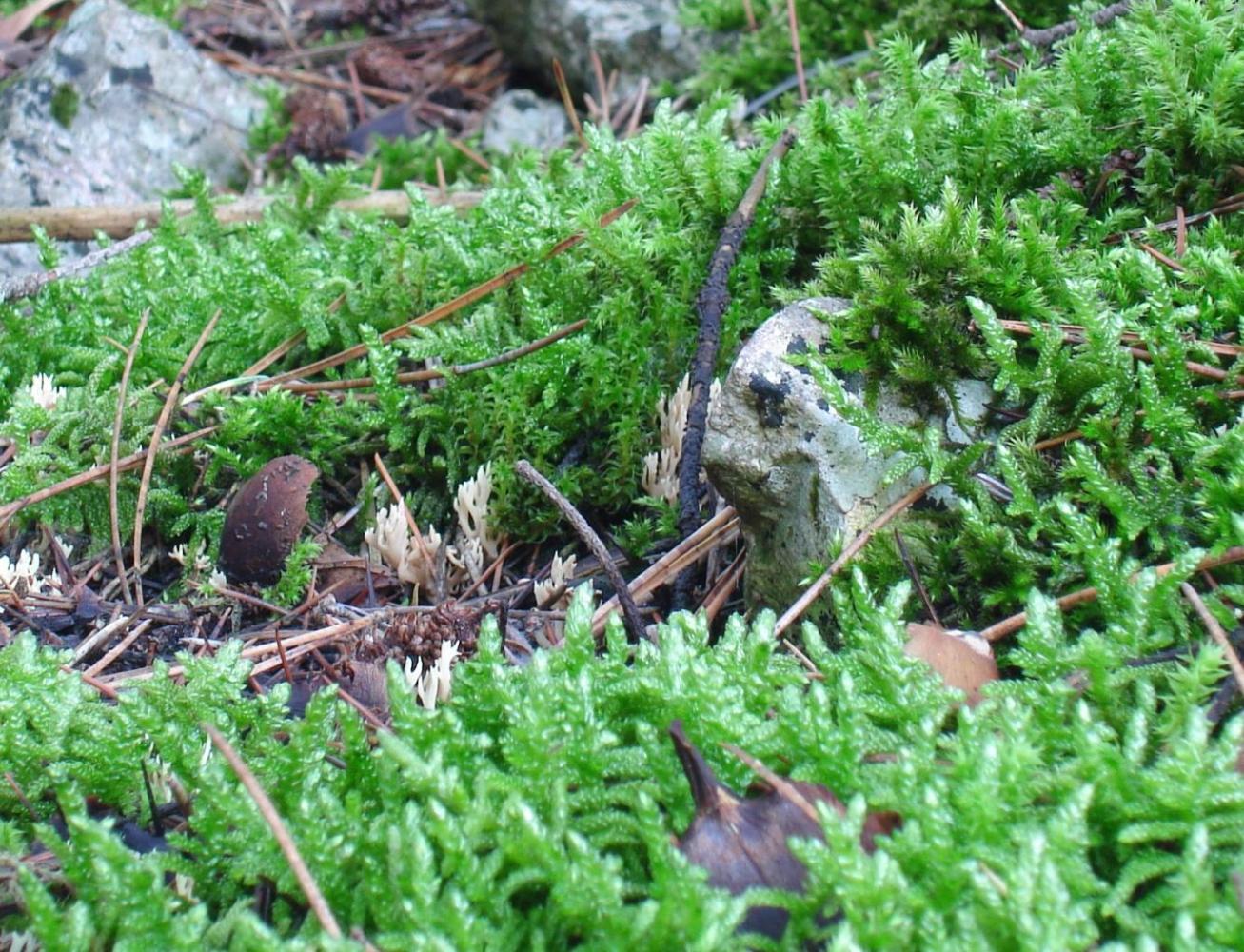 Escursioni fine-ottombrine nell''Aquilano