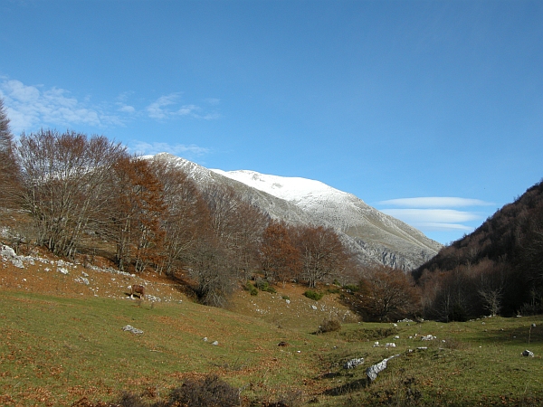 Alla scoperta di panorami familiari