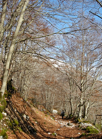 Alla scoperta di panorami familiari