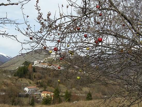 Alla scoperta di panorami familiari