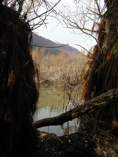 Alla scoperta di panorami familiari