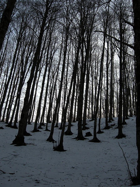 Alla scoperta di panorami familiari