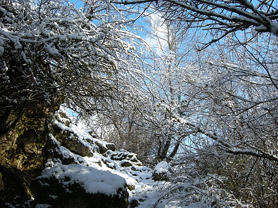 Paesaggi disegnati di bianco