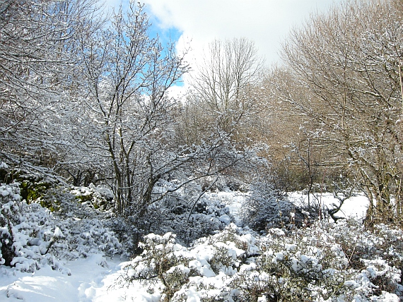 Paesaggi disegnati di bianco