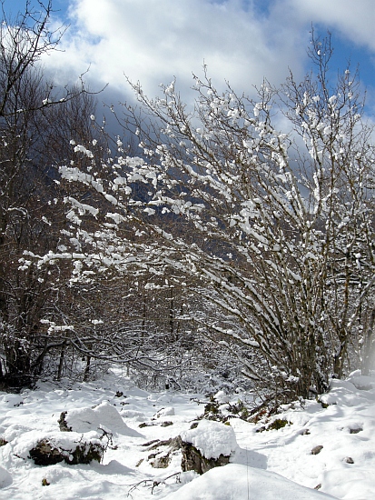 Paesaggi disegnati di bianco