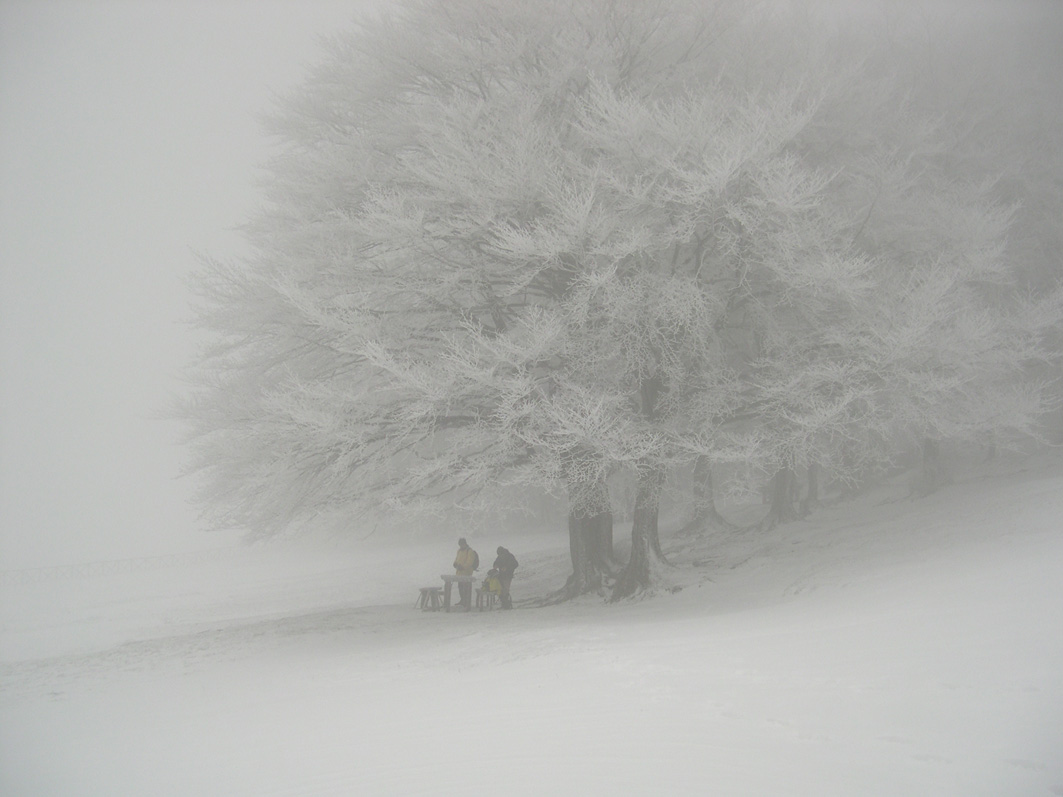 nebbia & neve