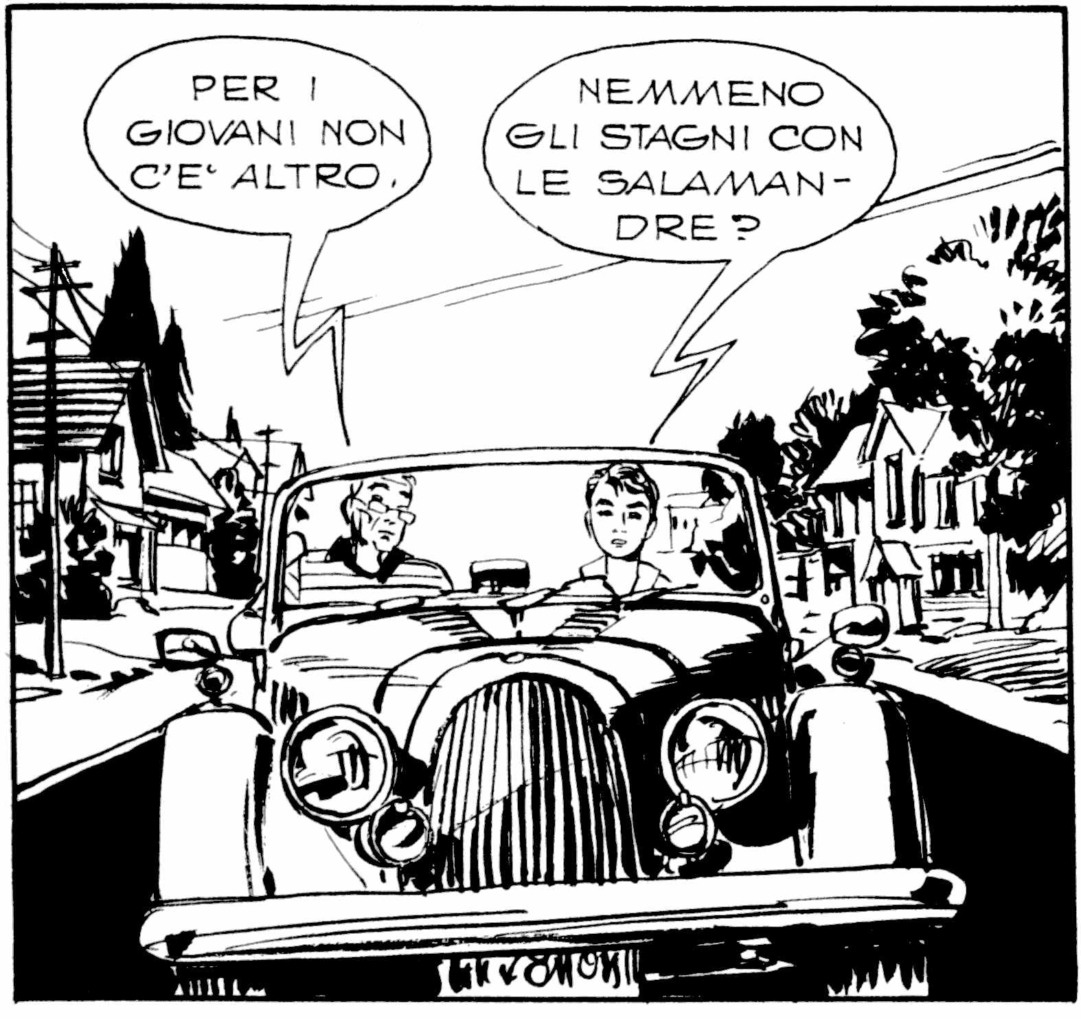 vignetta...