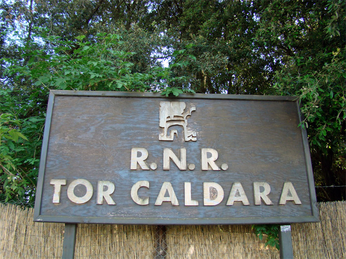 Tor Caldara - Riserva  Naturale Regionale