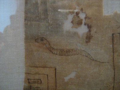 Toporagno: animale sacro nell''antico Egitto?