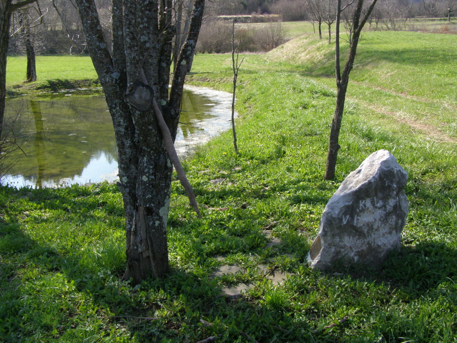 Piccole acque: un corso dal Carso all''Isonzo