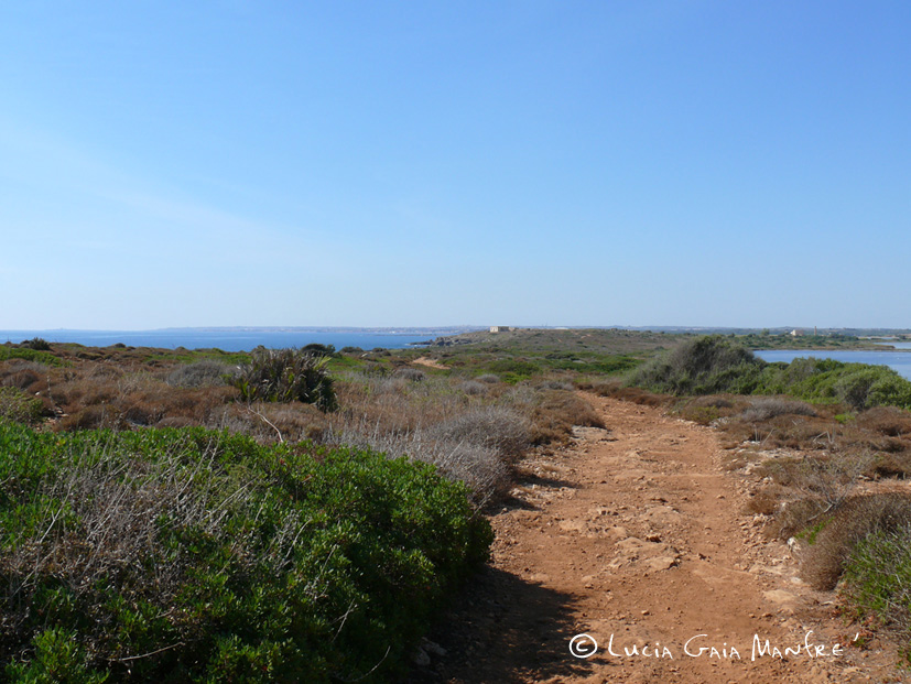 Sicilia sud-orientale