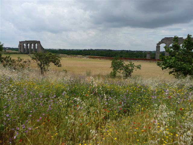 Roma - primavera nel parco archeologico degli acquedotti