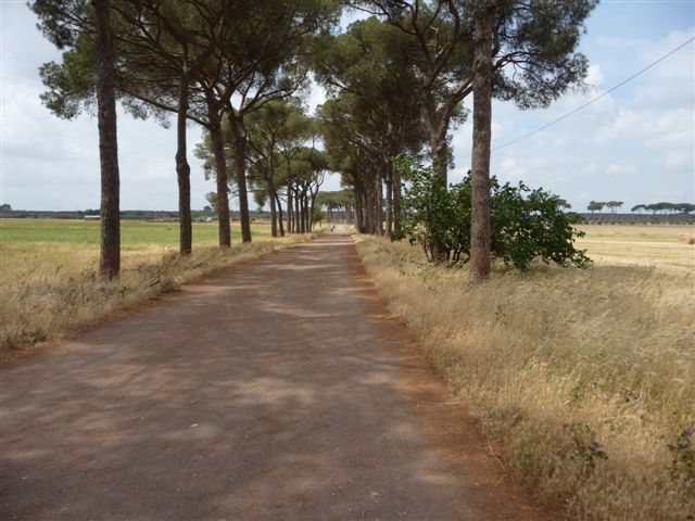 Roma - primavera nel parco archeologico degli acquedotti