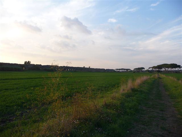 Roma - primavera nel parco archeologico degli acquedotti