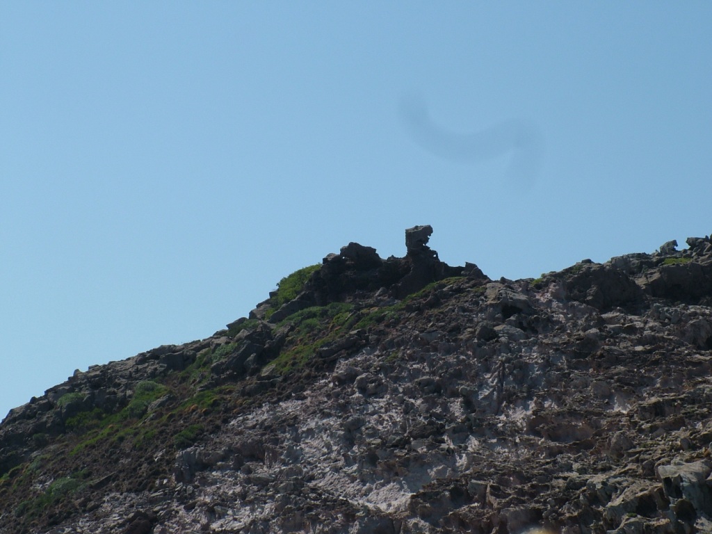 Sculture naturali