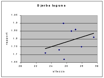 Conus