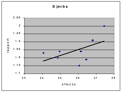 Conus