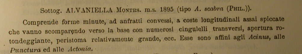 Rissoidae nel Mediterraneo: Genere Alvania