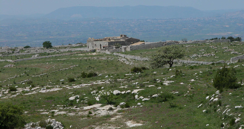 Iblei - diario fioriture fine Aprile