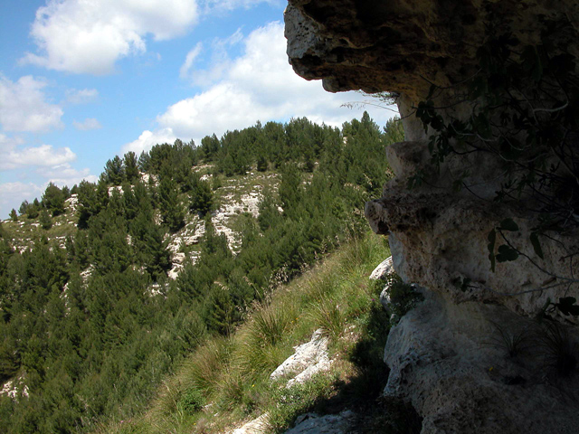 Sant''Andrea... crocifissione