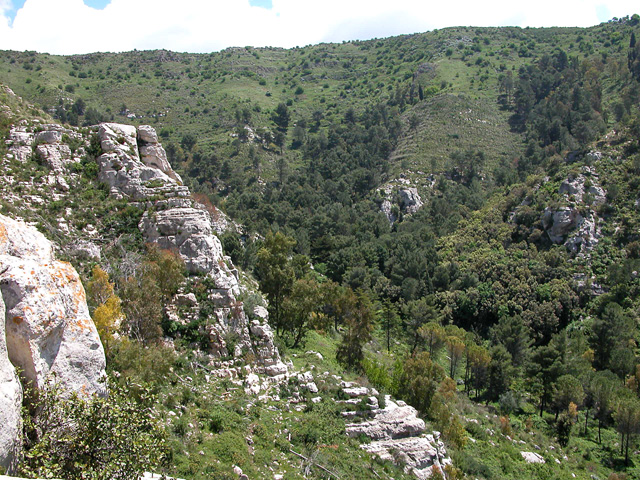 Sant''Andrea... crocifissione