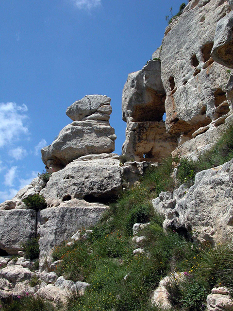 Sant''Andrea... crocifissione