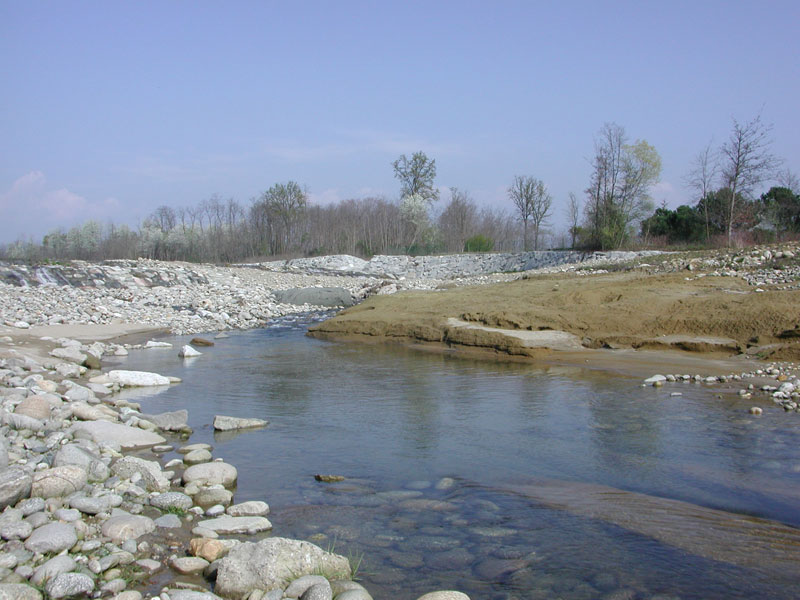 Fossili Pliocenici Biellesi