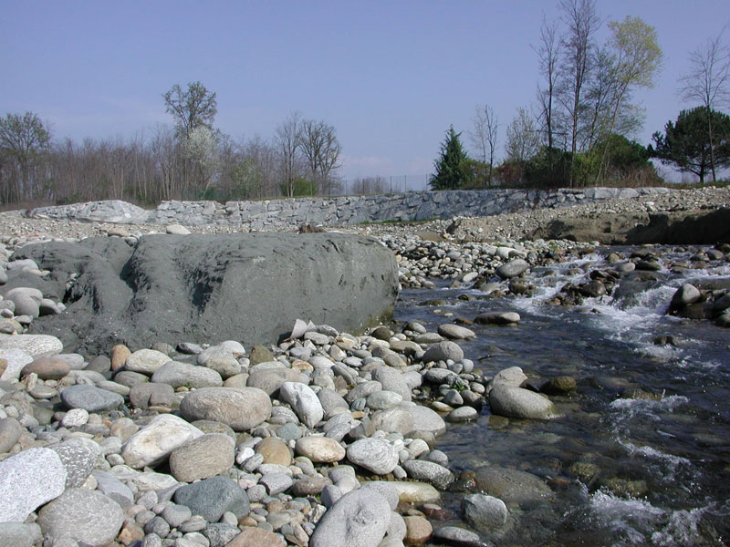 Fossili Pliocenici Biellesi