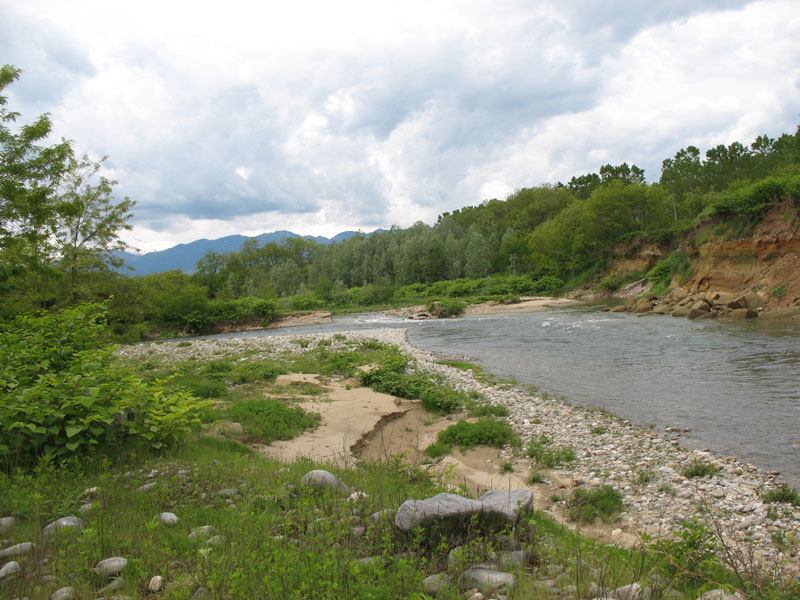 Ancora una volta sul Cervo