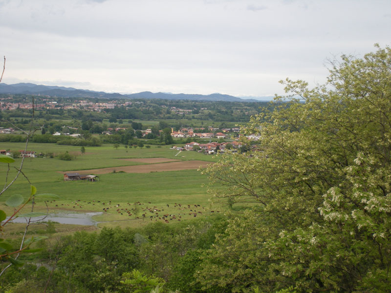 Ancora una volta sul Cervo