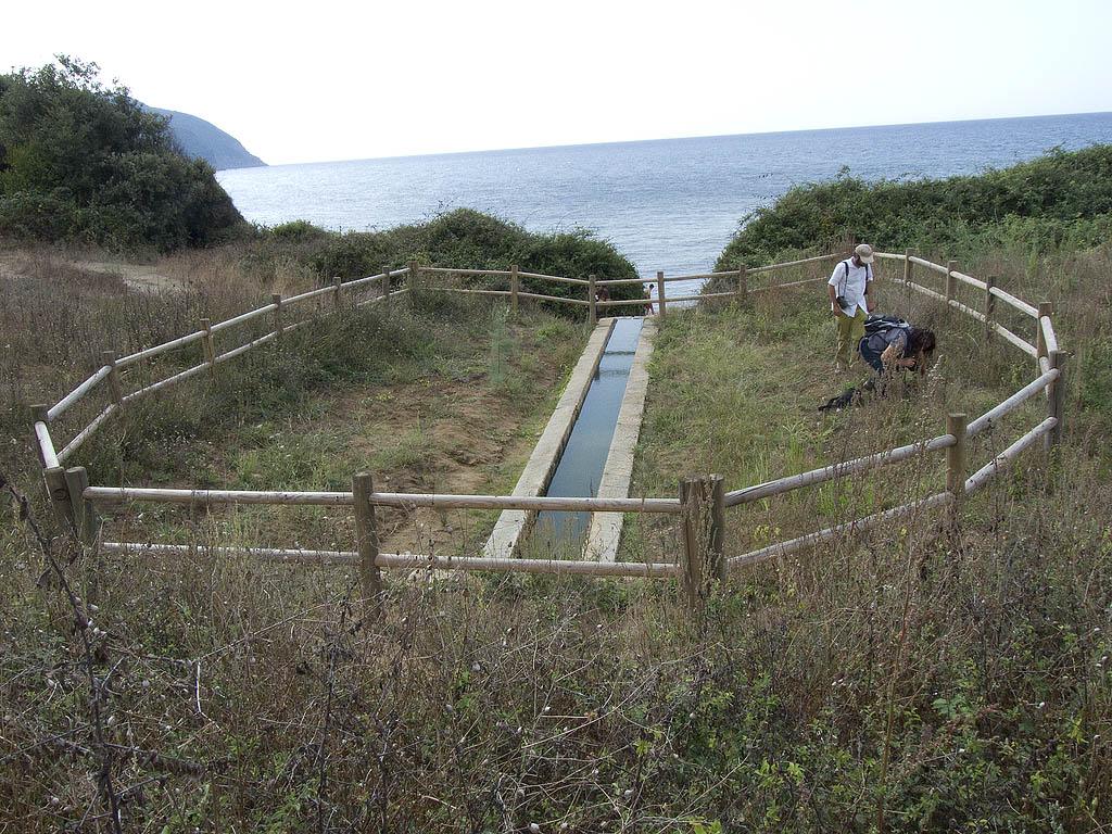 Ripristino di un fontanile a Baratti (Piombino - LI)